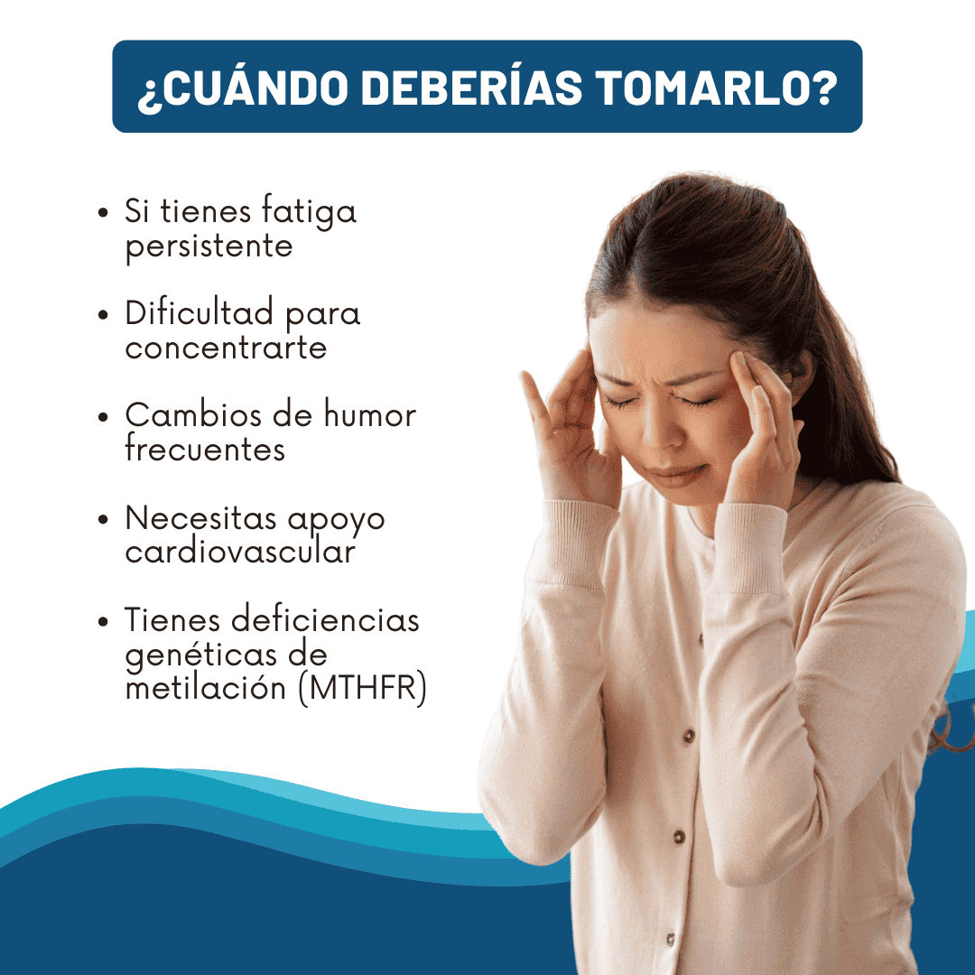 L Methyl Folate – Energía y Equilibrio Mental